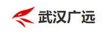 武汉广远经济发展股份有限公司